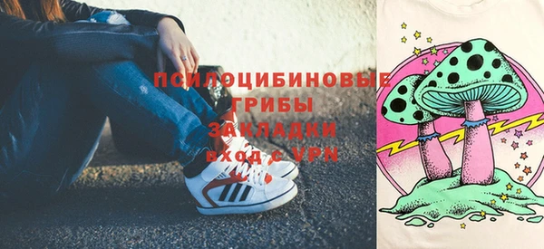 ГАЛЛЮЦИНОГЕННЫЕ ГРИБЫ Аркадак
