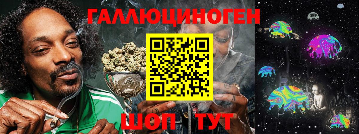 Кимры  Галлюциногенные грибы GOLDEN TEACHER  Галлюциногенные грибы прущие грибы  Вход с VPN 