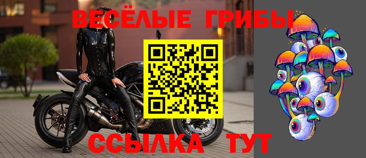 Кимры  Гашиш  Вход с VPN  ГАШИШ  Кокаин  МЕФ кристаллы  Конопля 